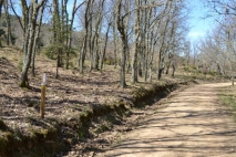 Zona de balizas blancas y amarillas