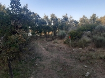 Zona de balizas rojas (sendero interplayas)