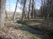 Río Estercuel