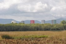 Salburua es un oasis entre gigantes de hormigón