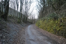 Camino de vuelta por la Vía Verde del Plazaola