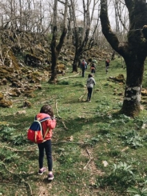 Tramo de ascenso por bosque encantado