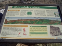 Paneles informativos de las pinturas rupestres.