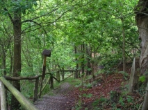 Museo del Bosque