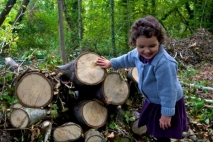 Pequeña leñadora