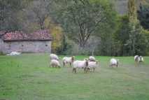 Posando a cámara