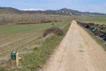 Camino de vuelta
