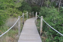 Zona de pasarelas de madera